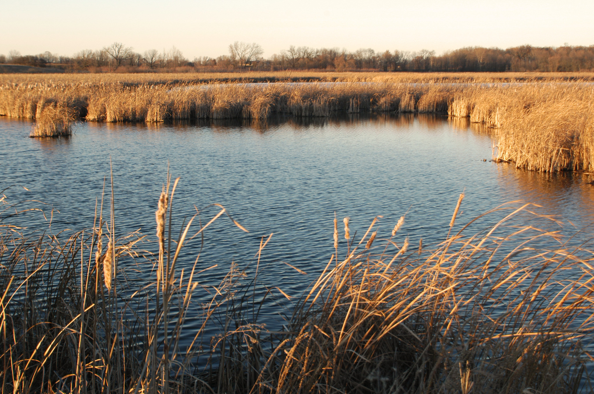 Horicon Marsh Trapping Bid Application Deadline Oct. 6 Wisconsin DNR